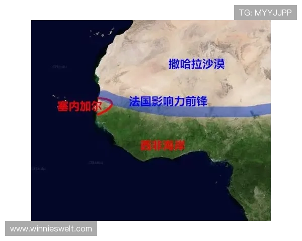 世界杯塞内加尔对阵伊拉克比赛竞猜注意事项详解与投注技巧指南